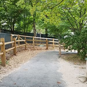 Elmwood Park - Path from giraffes to peccary
