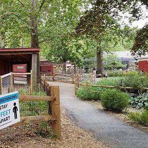 Elmwood Park - Path from peccaries to back of barn