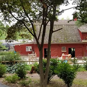 Elmwood Park - Back of barn