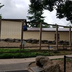 Elmwood Park - Giraffes and mountain zebra