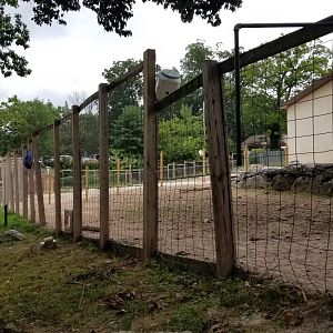 Elmwood Park - Giraffes and mountain zebra