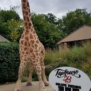Elmwood Park - Giraffe sculpture