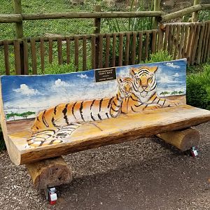 Elmwood Park - Carved benches
