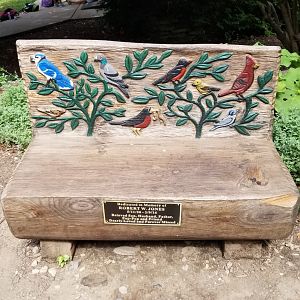 Elmwood Park - Carved benches