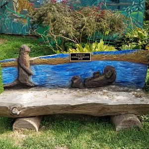 Elmwood Park - Carved benches
