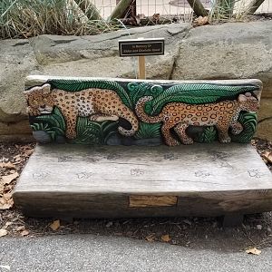 Elmwood Park - Carved benches