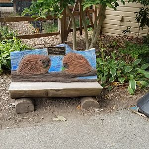 Elmwood Park - Carved benches