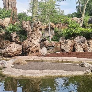 Sitatunga/Pygmy Hippo /Drill/Northern Talapolin exhibit