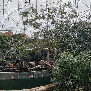 Wetlands Aviary