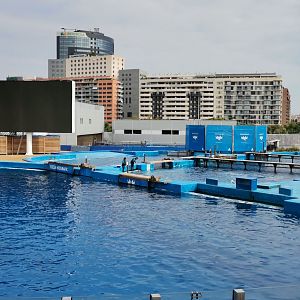 Dolphinarium
