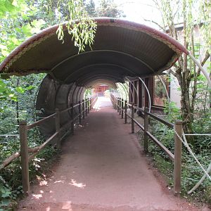 Koala tunnel