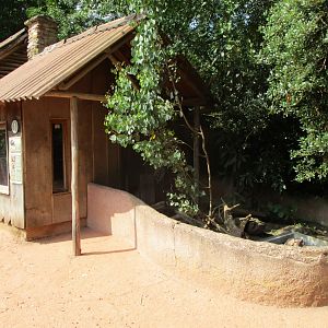 Short-beaked echidna enclosure