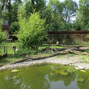 Part of the Barbary macaque enclosure