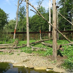 Part of the Barbary macaque enclosure