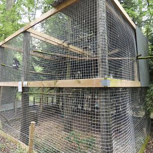 Batuleur eagle aviary (Rutland Falconry Centre)