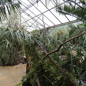 Bird walk-through area