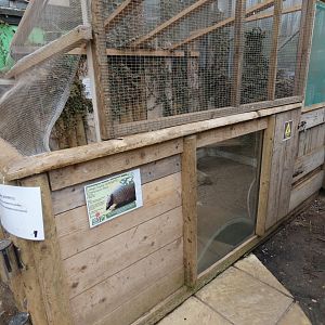 Armadillo enclosure
