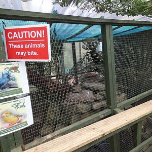 Jackdaw and canary aviary