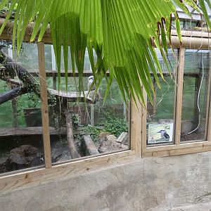 Laughing kookaburra enclosure