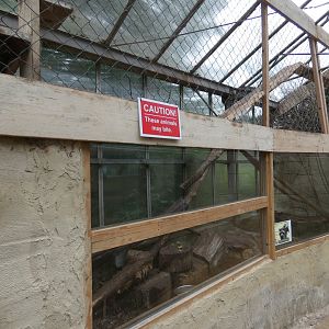Racoon enclosure