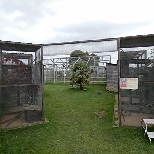Chipmunk enclosure (Camel Park Oasis)