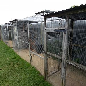 Parrot aviaries (Camel Park Oasis)