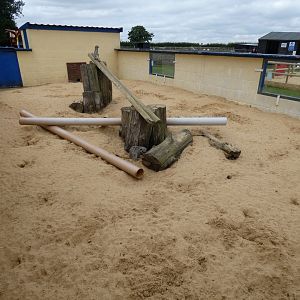 Meerkat enclosure (Camel Park Oasis)
