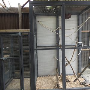 Marmoset indoor enclosure (Camel Park Oasis)