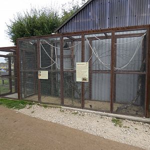 Marmoset outdoor enclosure (Camel Park Oasis)