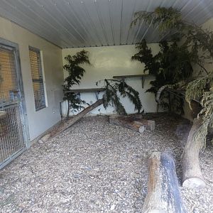 Snow leopard indoor enclosure