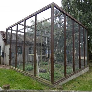 Northern bamboo lemur outdoor enclosure