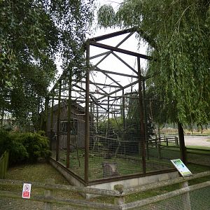 Black-and-white ruffed lemur enclosure