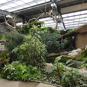 Eureka tropical house interior