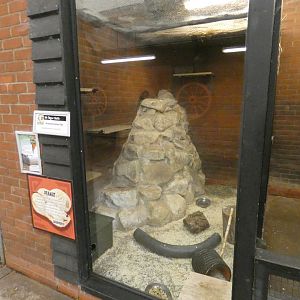 Brazilian guinea pig enclosure