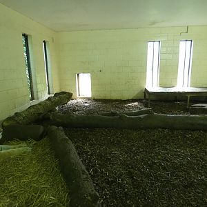 Amur tiger indoor enclosure