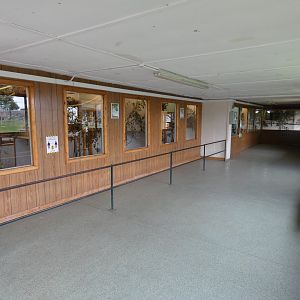 Marmoset and tamarin house interior