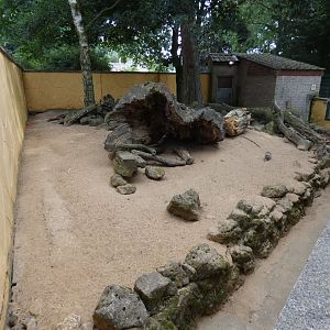 Meerkat enclosure