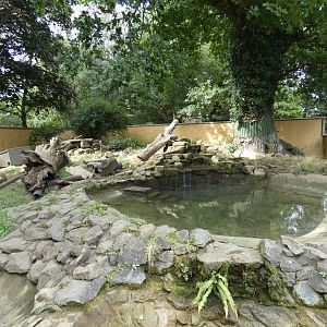 Asian short-clawed otter enclosure