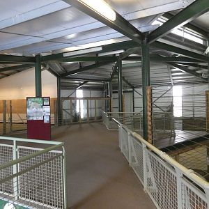 Giraffe indoor enclosure upper viewing area