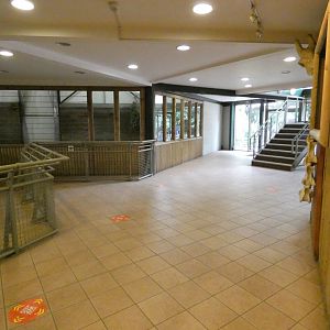 Giraffe house lower viewing area