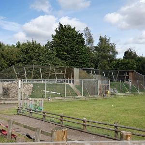 Vulture aviaries