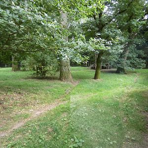 Maned wolf enclosure