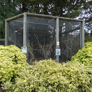 Ducorp's cockatoo aviary