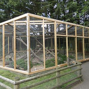 Pallas cat enclosure