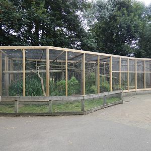 Pallas cat enclosure (2)