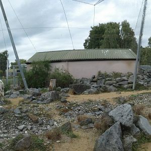 Snow leopard enclosure