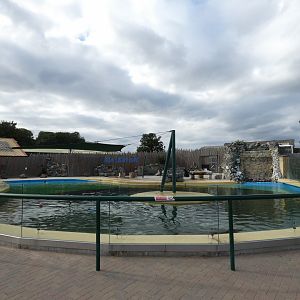 Sea Lion enclosure