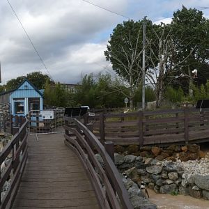 Penguin cove panorama