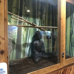 Main Building- Burmese Python Exhibit