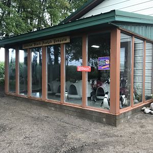 Main Building- Black-Footed Penguin Exhibit
